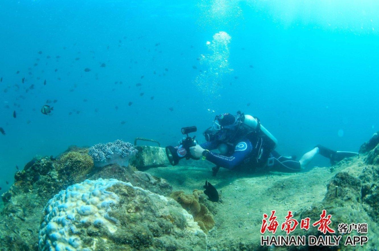 白色针织上衣清纯淡雅，活泼可爱又减龄，你喜欢吗？游戏画面